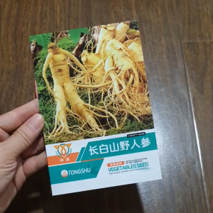 Hạt giống nhân sâm hàn quốc hạt giống nhập khẩu- shop Hoang My food and beauty