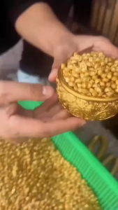 【READY STOCK】100 Pieces Solid Imitation Mini Alloy Coins/Glossy Round Gold Sand Coins Figurines