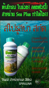 ซีพลัส[Sea Plus]1ลิตร: สาหร่ายสีเขียวสไปรูลิน่าสกัด เร่งการเจริญเติบโต บำรุงใบ บำรุงดอก เพิ่มสีสันผล ต้นสดชื่นมีพลังงาน ใช้ฟื้นฟูเเละบำรุงต้น ทนทานต่อสภาวะแวดล้อมไม่พึงประสงค์ เช่นกระทบเเล้ง น้ำท่วมขัง อากาศร้อนมากSunburn ฉีดพ่นทางดินช่วยกระตุ้นราก
