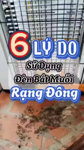 Đèn Bắt Muỗi Rạng Đông DBM02 Thu Hút Tiêu Diệt Muỗi Côn Trùng Hiệu Quả An Toàn Tiết Kiệm Điện