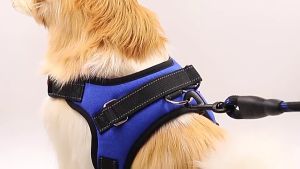 Reflective Dog Harness Adjustable Nylon Harness Collar Leash Dog Leads for middle Large Dogs