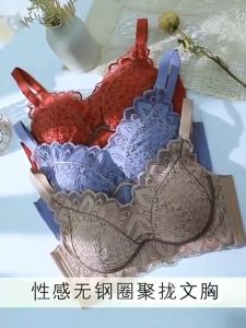 Triumphˉ TWO-PIECE Autumn and Winter New Products Comfortable bra without underwire women Push-up bra to prevent sagging back buckle fixed Suitable for small breasts