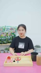 Soil Mix - Đất trồng sen đá trộn sẵn từ các loại đá khoáng đất sen đá xương rồng