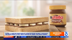 Nutella Peanut Spread 371g - A New Taste from USA