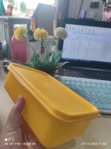Moorlife - Scatolla Small UK 880Ml / Tempat Bekal / Tempat Penyimpanan / Toples