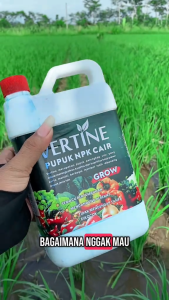 VERTINE GROW PADI Pupuk NPK Cair Untuk Meningkatkan Benih dan Kesuburan Tanaman