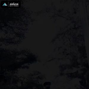 Kaos Kurta Pakistan Gamis Pria: Tampil Islami dengan Koleksi Pakaian Muslim Terbaik