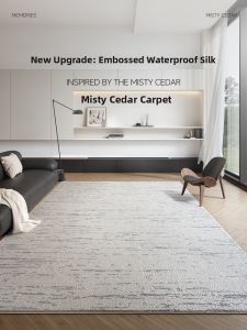 ZHUOYI | Waterproof Stain-Resistant Carpet Easy Clean Doormat