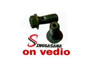 BAUT SELANG NEPEL REM HONDA YAMAHA M10 DRAT 1.25 ( 14) KEPALA KUNCI 12