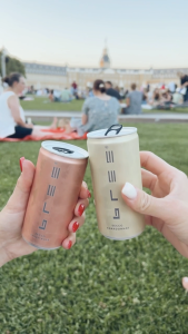 Bree Secco Syrah Rosé from Bree Wein Peter Mertes (Can Sparkling Alcohol Wine from Germany) | Carton of 12 cans