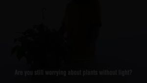 LED Plant Growth Light 220V Full Spectrum 40W Quantum Board Fill Lamp Hydroponic Seedling Cultivation Lamps Flower Grow Lighting