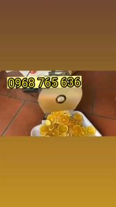 Máy Thái Rau Củ Quả Inox Chạy Điện - Bảo Hành 12 Tháng