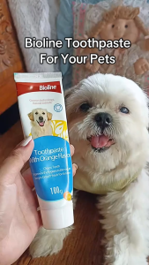 50g 100g Bioline Cat Dog Dental Care Tooth Brush Set All Stages Adult Kitten Puppy Pets Essentials