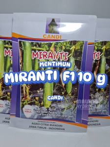 Benih Mentimun Miranti F1 10 gram cap Candi unggul bibit biji timun lonjong hydroponik hidroponik sayur sayuran buah cucumis sativus tahan virus