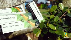 Pasta Gigi Herbal HPAI Toothpaste - Rasa Pasta Gigi Siwak Mint - Propolis -Sensitif - Cengkeh