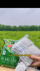 Trà Cà Gai Leo Túi Lọc SADU – Giải Độc Gan Hỗ Trợ Men Gan Giảm Mỡ Gan – 50 Túi Lọc