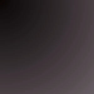 SSD EXTERNAL SATA 2.5 RAMSTA 256GB