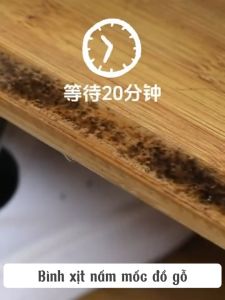 Bình Xịt Tẩy Nấm Mốc Đồ Gỗ Siêu Sạch Chai Xịt Vệ Sinh Nội Thất Gỗ Tường Nấm Mốc 330ml MEHOM - XNM01