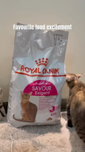 Hạt Cho Mèo Trưởng Thành Kén Ăn Royal Canin Fussy Exigent (Savour Exigent)