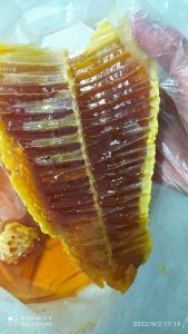 madu sarang lebah hutan liar madu ODENG 500 GR