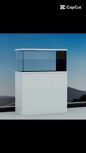 Crystal Glass Fish Tank | Ecological Aquarium Tank Set with Filter & Pump | Custom Size Available