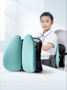 ZHIMENGREN | Posture Correcting Lumbar Support for Students