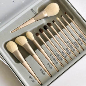 Animal Hair Beginner Makeup Brush Set 12 Pieces
