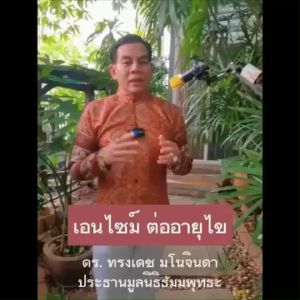 ส่งฟรี ผลิตภัณฑ์เสริมอาหาร Prann เอนไซม์ปราณ ปู่ชีวก p pran pan ปู่ชีวกปราณ เอนไซม์ปู่ชีวก ปราณเอนไซม์ ปราณ ปวดข้อ ปวดเข่า ไมเกรน น้ำตาลสูง 1 กระปุก 30 แคปซูล