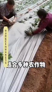 Heavy-Duty Agricultural Mulching Film: 4ft x 400m & 5ft x 400m