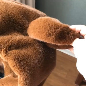 JZ 2025 winter new hooded loose cute bear ears thickened womens plush mid length faux fur coat