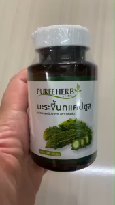 Puree Herb ภูรีเฮิร์บ มะระขี้นก แคปซูล มะระ ภูรี เฮิร์บ Bitter Melon Capsule Pureeherb ของแท้ น้ำตาล เบาหวาน ความดัน หัวใจ ไขมัน ไข้หวัด 1 ขวด 100 แคปซูล