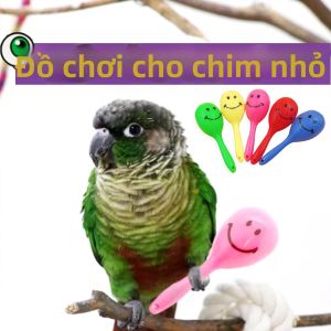 SHIYINBEIBI | Đồ Chơi Gặm và Tương Tác Giải Trí cho Vẹt