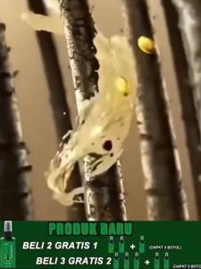 Semprotan anti-rambut rontok Jahe anti-rambut rontok 120ml Cocok untuk uban rambut rontok rambut menipis perawatan akar rambut meningkatkan pertumbuhan rambut