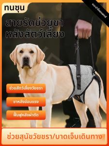 tanzum | Back Support Dog Walking Harness for Elderly and Injured Pets