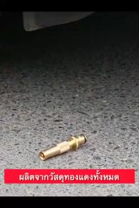 ฟรี หัวฉีดน้ำทอง ทองเหลืองแท้ หัวฉีดน้ำ ปืนฉีดน้ำ สำหรับรดน้ำต้นไม้ ล้างรถ ปรับน้ำได้