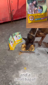 JooyPet 9 Tray Freeze-Dried Dog Food 20% Raw Meat Bone Chondroitin Sulfate para sa Kalusugan ng Tiyan Matitibay na Buto Pangangalaga sa Mata，1kg