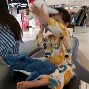 CÁ MẬP NHỒI BÔNG QCTQ 40CM