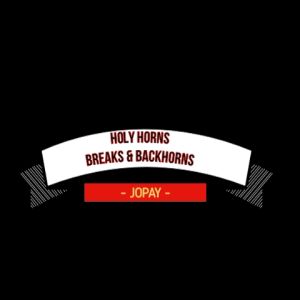 JOPAY Backhorn | Breakhorn 12-24v (for all vehicles)