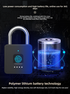 eLinkSmart | Fingerprint Password Lock Remote Control Smart Door Lock