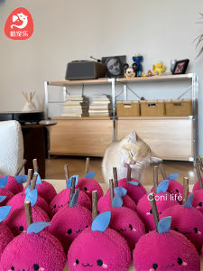 Hapetjoy Cat Teething Toy Chew Proof Interactive Pet Supplies Fun Cat Stick Wood Material Long Lasting Entertainment for Cats