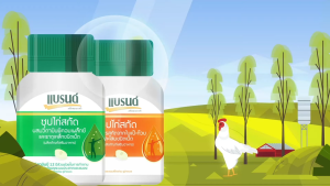 BRANDS แบรนด์ เม็ด ซุปไก่สกัด ผสมวิตามินบีคอมเพล็กซ์และธาตุเหล็ก 60 เม็ด [1 กล่อง สีเขียว] AA 4301 Brands Brand