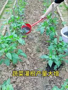 Organic Vegetable-Specific Slow-Release Granular Fertilizer