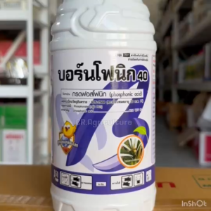 บอร์นโฟนิก 40 กรดฟอสโฟนิก 40% ป้องกันและกำจัดเชื้อรา โรครากดำ ข้าวไม่กินปุ๋ย โรคโคนเน่า ยอดเน่า ราหลุม เมล็ดด่าง ไฟทอป
