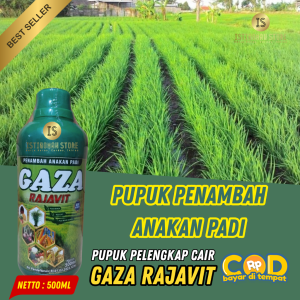Pupuk Cair GAZA RAJAVIT 500ML Penambah Anakan Padi Pemacu Pertumbuhan Tunas Baru Penyubur Tanaman Padi Sawah Pupuk Perangsang Batang dan Pelebat Anakan Solusi Panen Padi Lebih Melimpah dan Menguntungkan