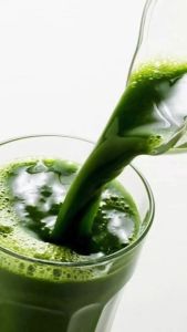 Buy 2 Promo: SBG Salveo Barley Grass Trial Pack | 80grams