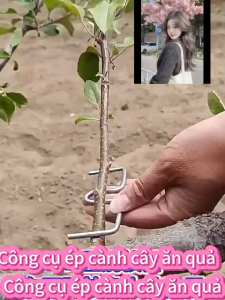 <kkt>  m loại kéo cành cây ăn quả tách cành thần thánh tách cành cây anh đào lê ép cành uốn cành mạ nóng