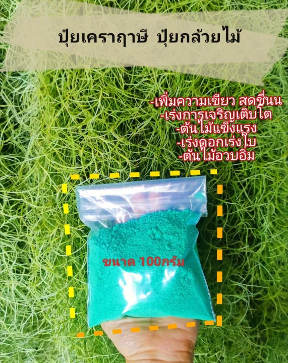 ปุ๋ยเกล็ดละลายน้ำสำหรับเคราฤาษี ทิลแลนเซีย กล้วยไม้