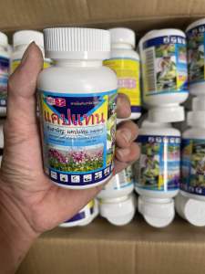 Thuốc trừ bệnh thối nhũn nấm bệnh trên phong Lan Captan Thai Lan (lọ 50g)