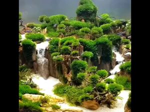 Plants Tank Natural Aquascape Snow white fine sand Cosmetic Sand Fine Sand 2.5kg（水草缸造景缸雪白细沙自然化妆沙细沙）