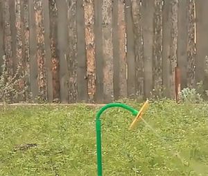 Creative Garden Crazy Flower Sprinkler Dancing Sun Flower Yard Sprinklers For Watering And Kids Playing 720 Degree RotatingCreative Garden Crazy Flower Sprinkler Dancing Sun Flower Yard Sprinklers For Watering And Kids Playing 720 Degree Rotating